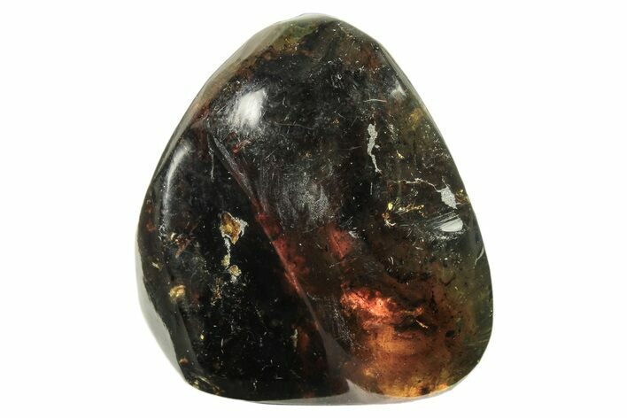 Polished Chiapas Amber ( g) - Mexico #274445